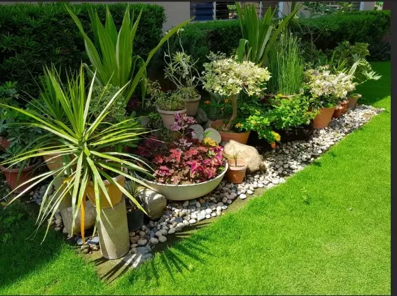 Corner Garden Magic: Ideas to Fill Every Nook of Your Yard 1