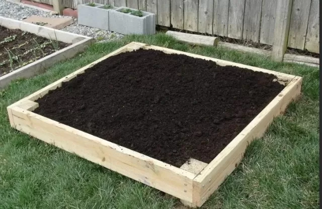 Raised Bed Gardening 101: Everything You Need to Begin 5