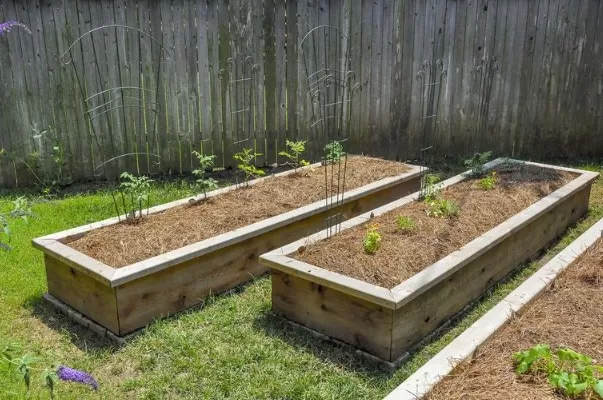 Raised Bed Gardening 101: Everything You Need to Begin 1