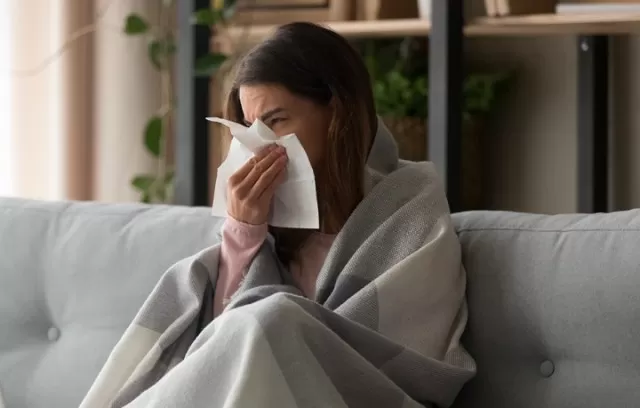 Allergy-Free Haven: 7 Steps to Make Your Home Allergy-Proof 1
