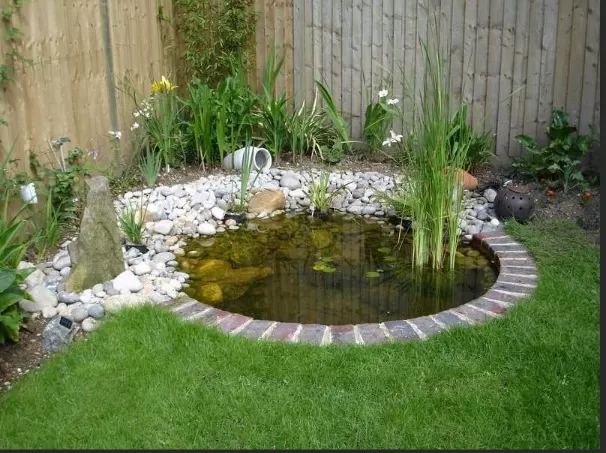 Backyard Oasis: Stunning Ponds to Enhance Your Landscape 1