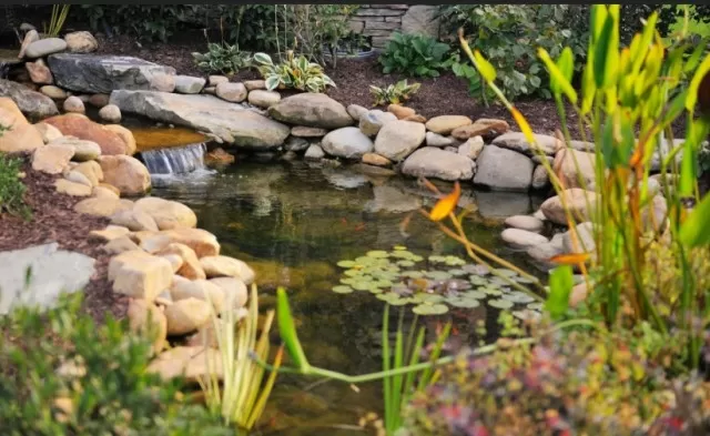 Backyard Oasis: Stunning Ponds to Enhance Your Landscape 5