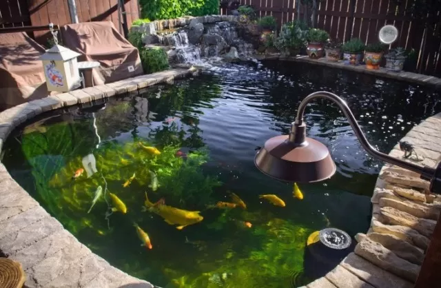 Backyard Tranquility: Relaxing Pond Waterfall Ideas 1