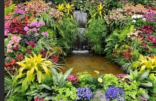 Backyard Tranquility: Relaxing Pond Waterfall Ideas 3