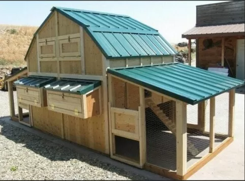 Chicken Coop Plans: Ideal for Any Homestead Size 1