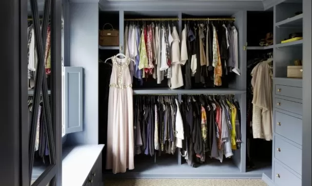 Walk-In Closet: 14 Best Ideas for Organization & Storage 2