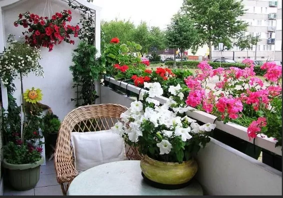 Creative Balcony Garden Inspiration 1