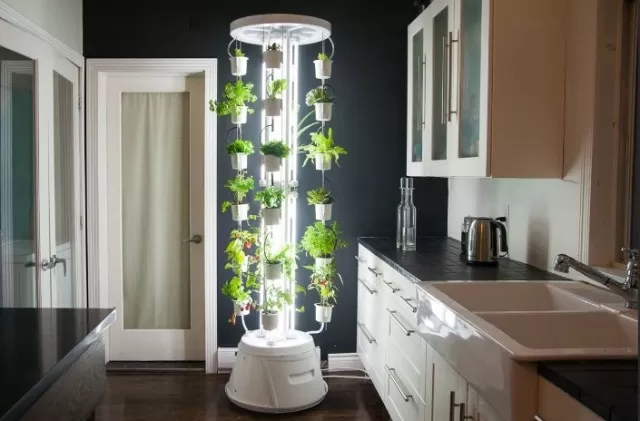 Indoor Garden Innovations: Brilliant Solutions for You 1