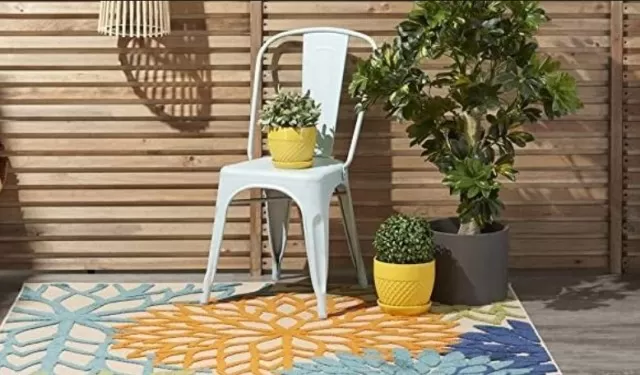 Best 6-Step Guide to Clean an Outdoor Rug 2