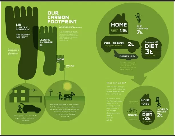 Sustainable Home: Simple Carbon Footprint Reduction 1