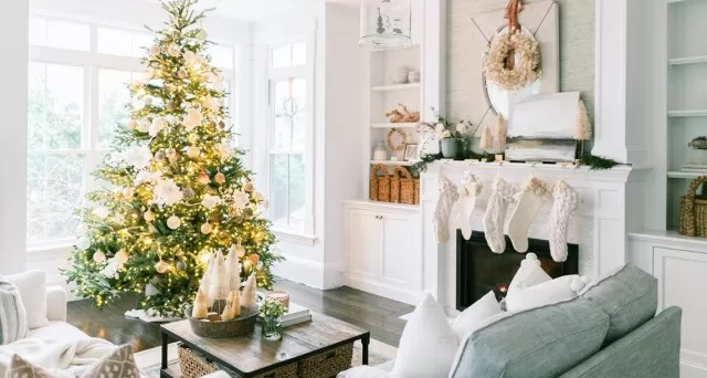 9 Best Holiday Cleaning Tips for Tidy Home 2