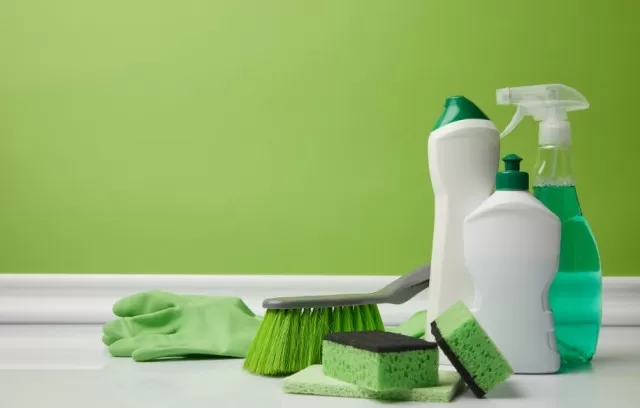 Best Lesson About Green Cleaning & Eco-Friendly Products 3