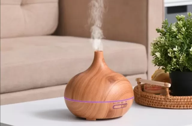 How to Properly Clean and Maintain Your Humidifier 1