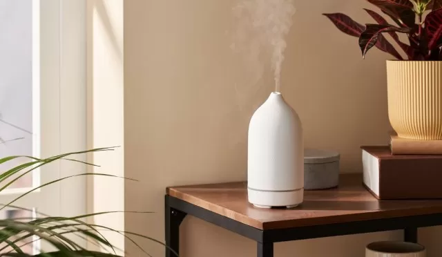 How to Properly Clean and Maintain Your Humidifier 2
