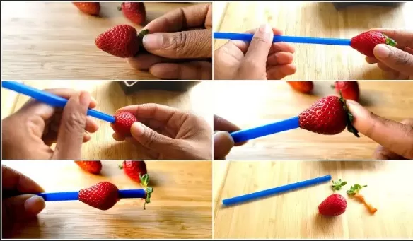 Unexpected and Creative Uses for Plastic Straws 3