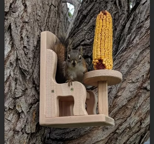 Do-It-Yourself Squirrel Feeder Projects for Your Yard 5
