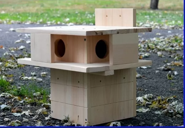Do-It-Yourself Squirrel Feeder Projects for Your Yard 3