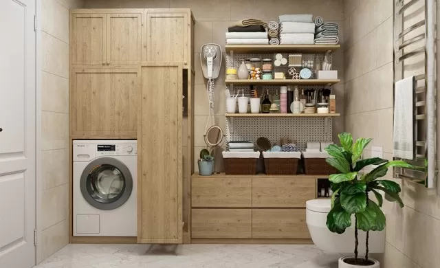Laundry Room: 8 Efficient Ideas for Organization 2
