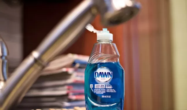 9 Things You Can Do With Dawn Dish Soap 3