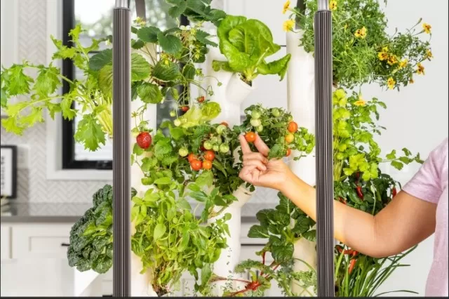 Extend Your Green Thumb to Winter with a Garden Tower 5