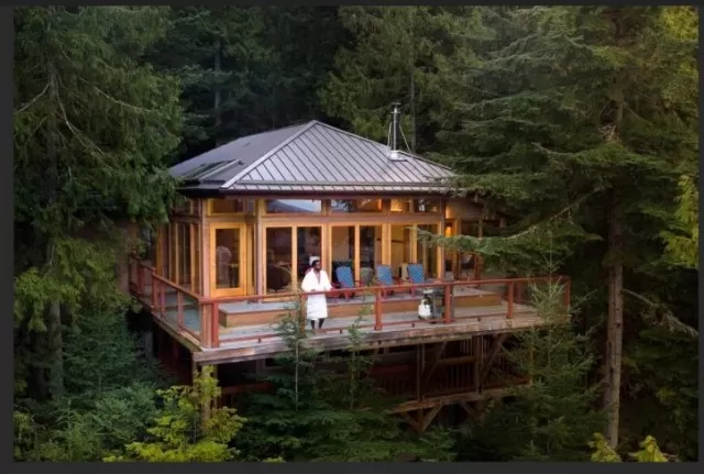 Airbnb Treehouses for a Weekend Getaway 1