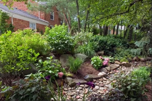 Constructing a Rain Garden: Benefits and How-To Guide 3
