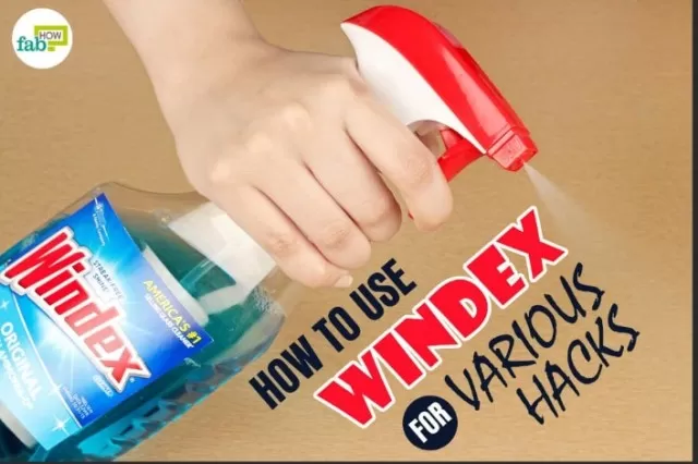 Surprising Uses for Windex You Didn\'t Know About 1
