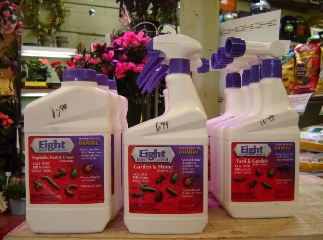 Japanese Beetle Control: Effective Garden Strategies 1