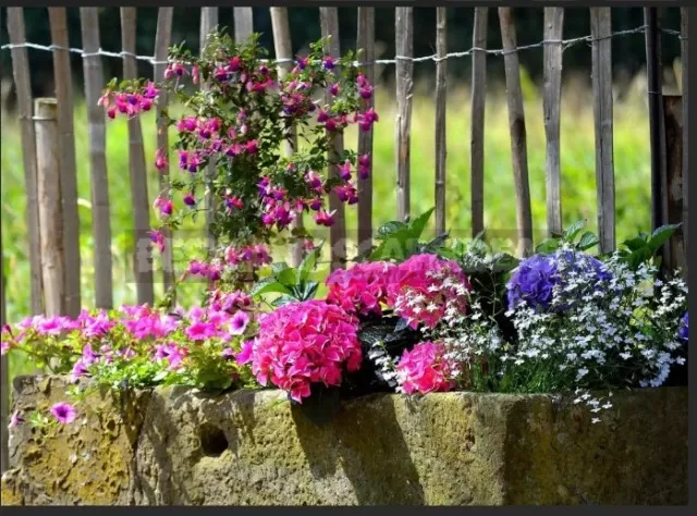 Garden Fence Ideas That Will Complement Any Landscape 1