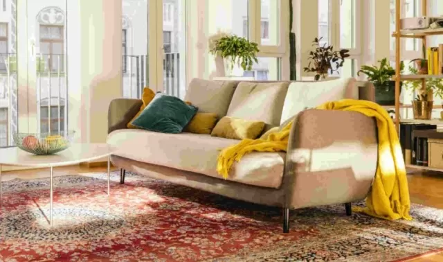 Budget-Friendly Area Rugs That Impress 1