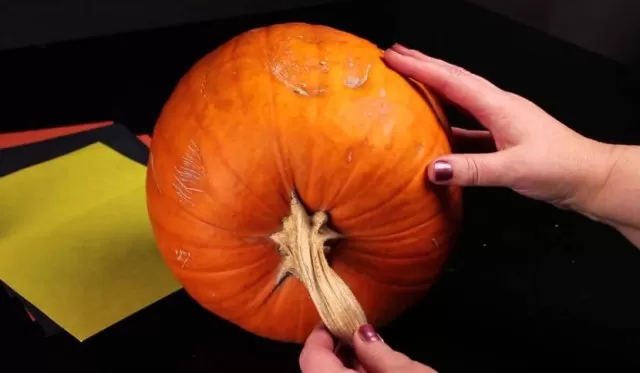 Enchanting Pumpkin Decor Ideas: Spellbinding Creativity 1