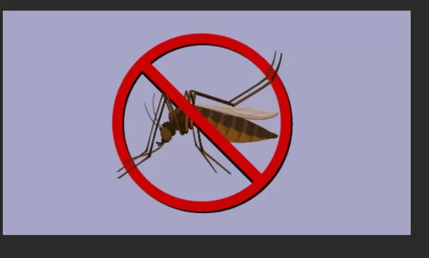 Mosquito Myths Debunked: Clarifying Common Beliefs 1