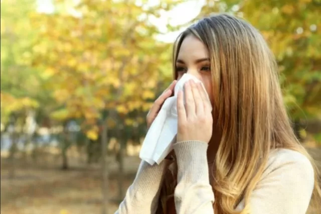 Essential Home Products for Allergy Sufferers 1