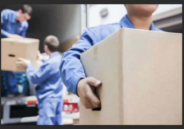 Insights from Pros: Lessons from Professional Movers 5