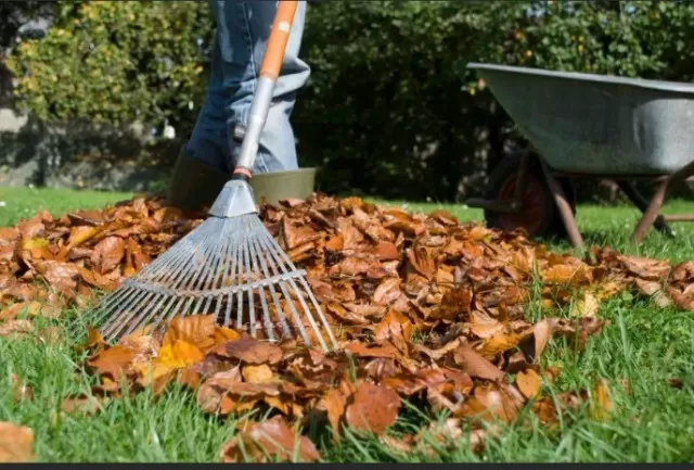 Avoiding Common Fall Landscaping Blunders 5