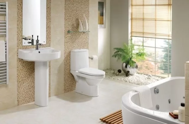 Efficient Toilet Tank Cleaning: A Step-by-Step Guide 3