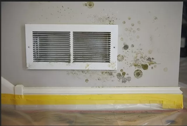Problem Solved: Effective Mold Treatment in HVAC Systems 1