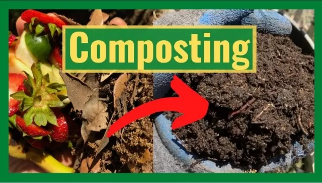Rapid Composting Hacks for Cost-Efficient Fertilizer 1