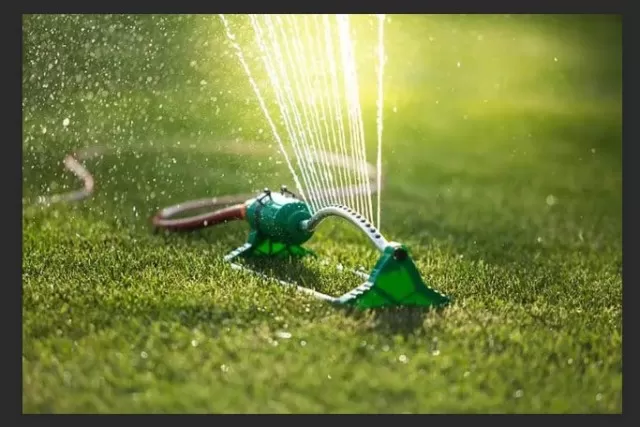 Tailored Garden Sprinklers for Every Lawn 3