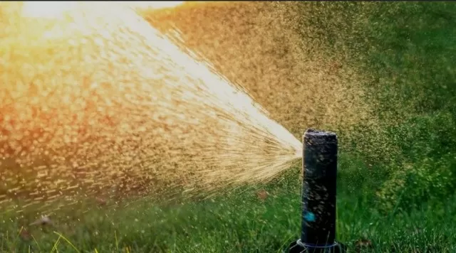 Tailored Garden Sprinklers for Every Lawn 5