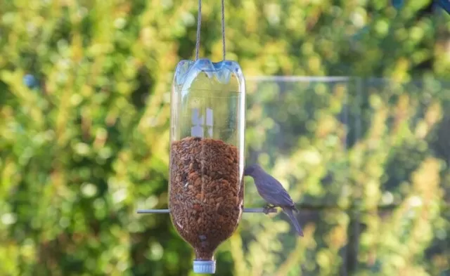 Best Guide to Clean Bird Feeders Thoroughly 4