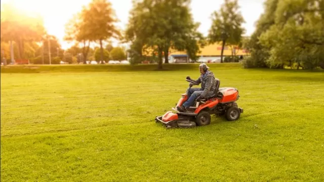 Efficient Lawn Care Tips for Homeowners Eager to Save Time on Mowing 5