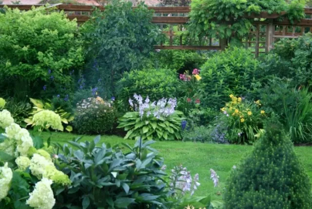 Desirable Landscaping Elements for Home Buyers 3