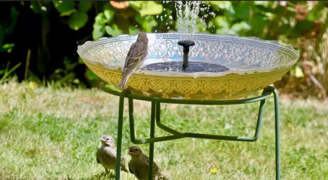 Exploring the Smart Solar Bird Bath Fountain 1