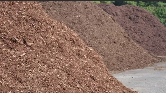 Mulch 101: 13 Types and Tips for Yard Selection (Part 1) 3