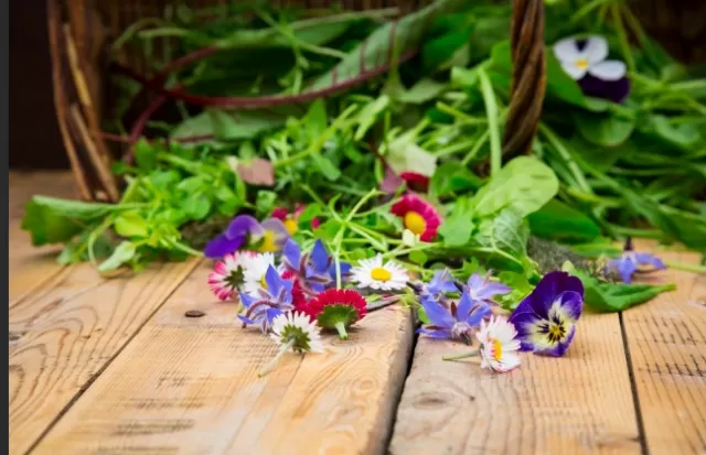 An Illustrated Handbook on Edible Flowers and Creative Uses 1