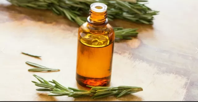 Exploring the Potential of Rosemary Oil for Hair Growth 3