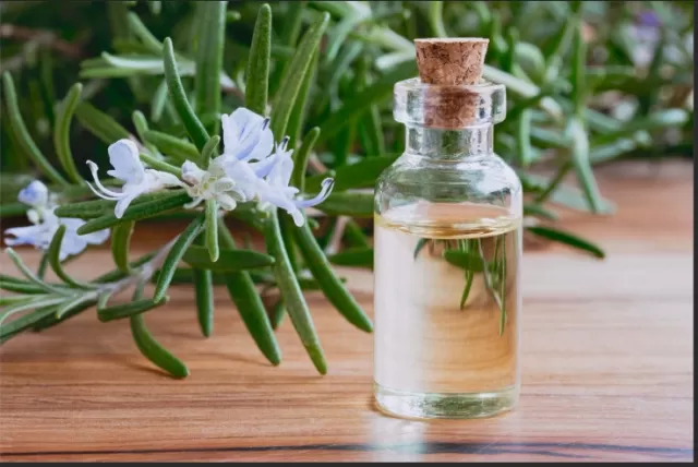 Exploring the Potential of Rosemary Oil for Hair Growth 4