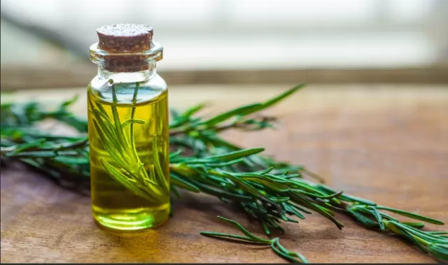 Exploring the Potential of Rosemary Oil for Hair Growth 1