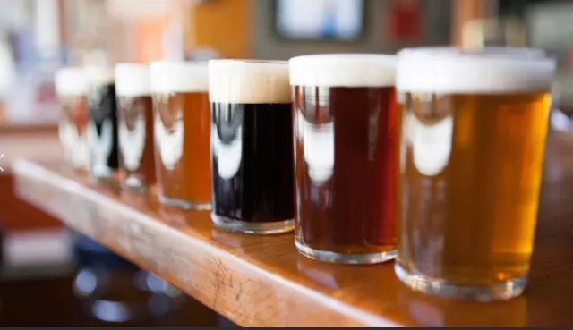 Exploring Brews: A Guide for the Curious Beer Enthusiast 1